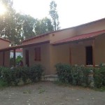 Bungalows3