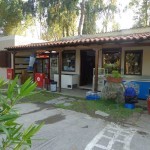 MiniMarket