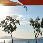 kite