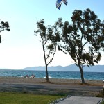 kite1